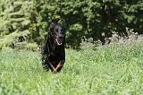 BEAUCERON 070